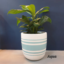 Load image into Gallery viewer, Horizon Design - Plant Pot
