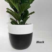 Load image into Gallery viewer, Dipped Design - Plant Pot
