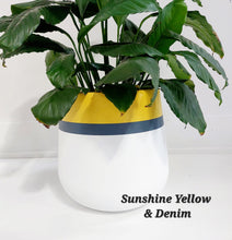Load image into Gallery viewer, Captain Design - Plant Pot
