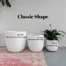 Load image into Gallery viewer, Reverse Sailor Design - Plant Pot
