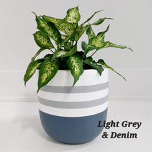 Load image into Gallery viewer, Reverse Sailor Design - Plant Pot
