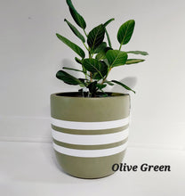 Load image into Gallery viewer, Latitude Design - Plant Pot
