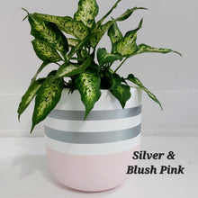 Load image into Gallery viewer, Reverse Sailor Design - Plant Pot
