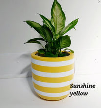 Load image into Gallery viewer, Reverse Nautical Design - Plant Pot
