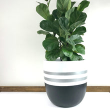 Load image into Gallery viewer, Reverse Sailor Design - Plant Pot
