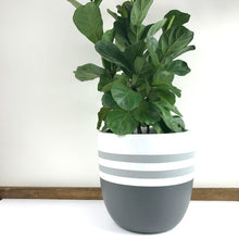 Load image into Gallery viewer, Reverse Sailor Design - Plant Pot
