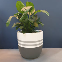 Load image into Gallery viewer, Reverse Sailor Design - Plant Pot
