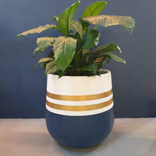 Load image into Gallery viewer, Reverse Sailor Design - Plant Pot
