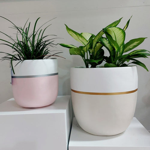 Mermaid design small and med pot plant combo