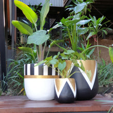 Load image into Gallery viewer, Set of Gold and Black planter pots
