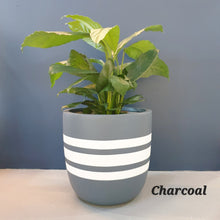 Load image into Gallery viewer, Latitude Design - Plant Pot
