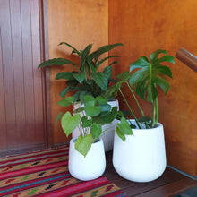 Load image into Gallery viewer, Set of 3 white garden plant pots
